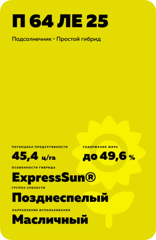 П 64 ЛЕ 25 (P 64 LE 25) гибрид подсолнечника Пионер