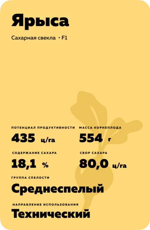 Ярыса