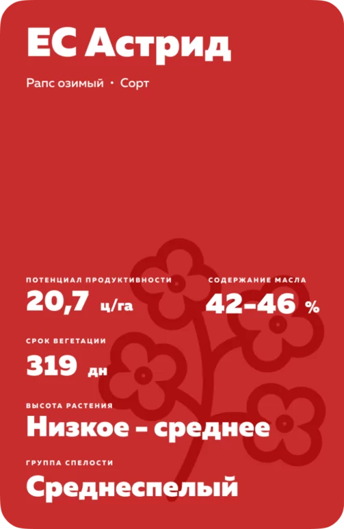 ЕС Астрид рапс озимый