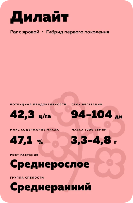 Дилайт  (DELIGHT) •	гибрид рапса ярового