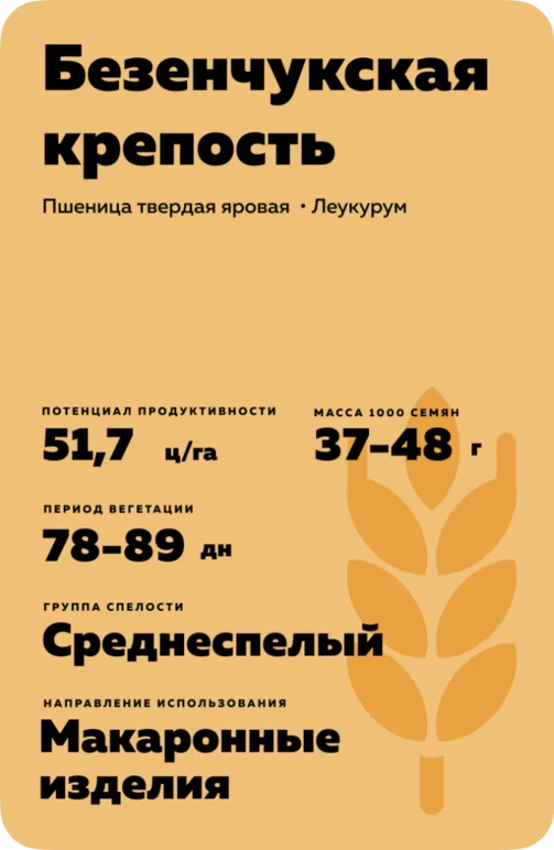 Безенчукская крепость пшеница твердая яровая