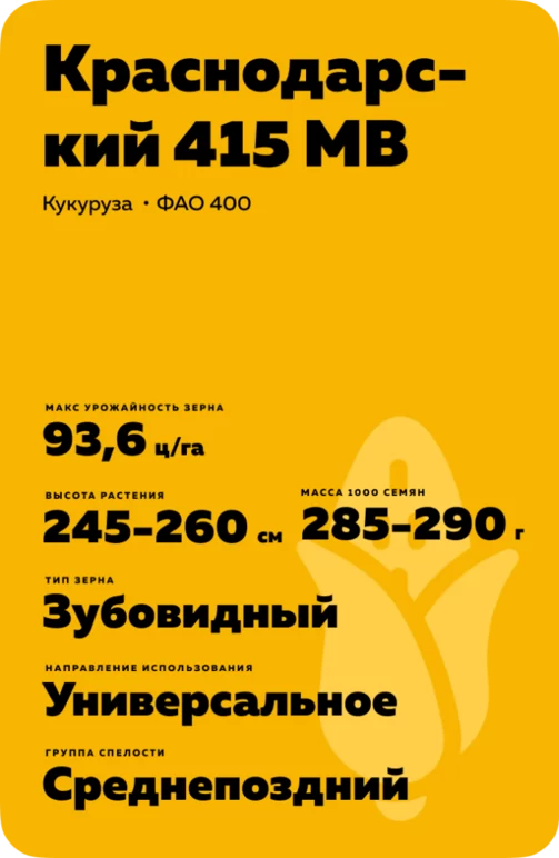Краснодарский 415 МВ гибрид кукурузы