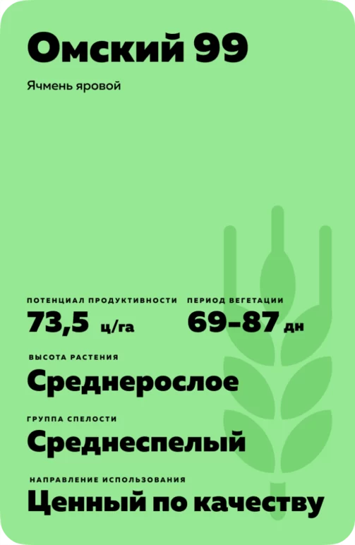 Омский 99
