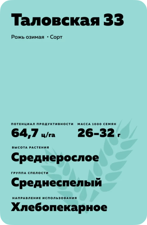 Таловская 33