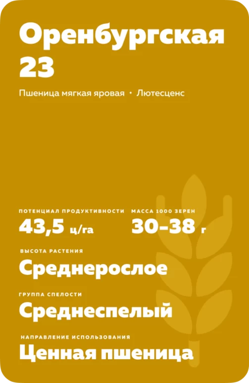 Оренбургская 23