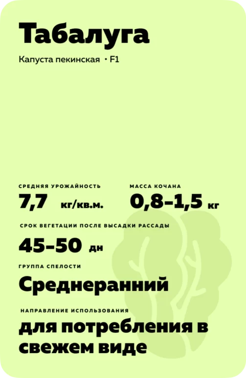 Табалуга F1  (TABALUGA)
