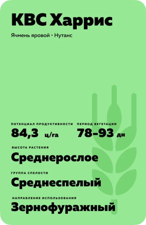 КВС Харрис (KWS HARRIS) сорт ярового ячменя