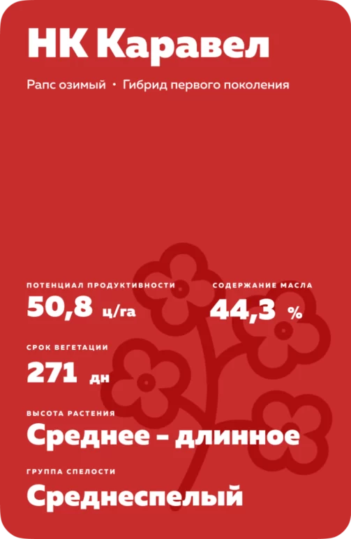 НК Каравел рапс озимый
