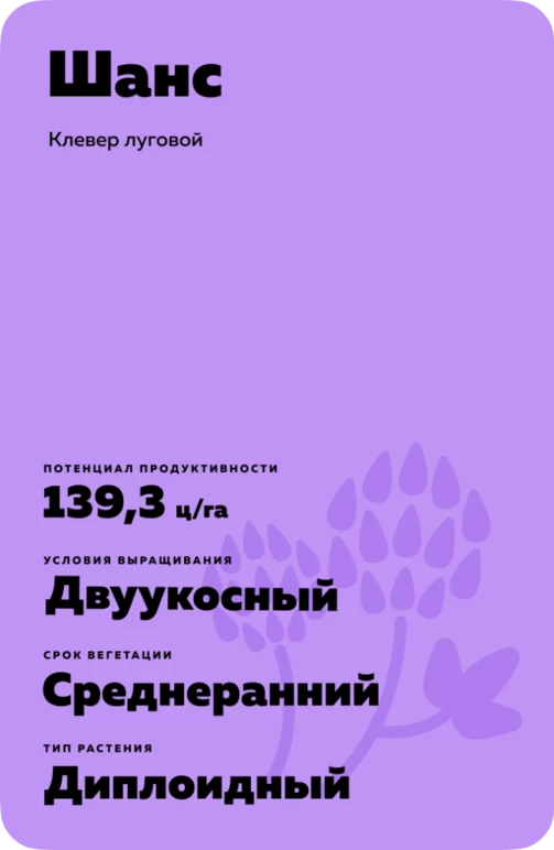 Шанс