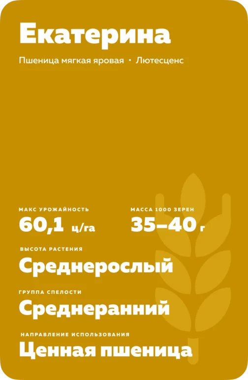 Екатерина ® мягкая яровая пшеница