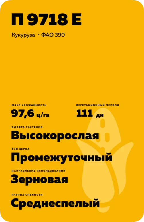П 9718 Е - гибрид кукурузы Пионер