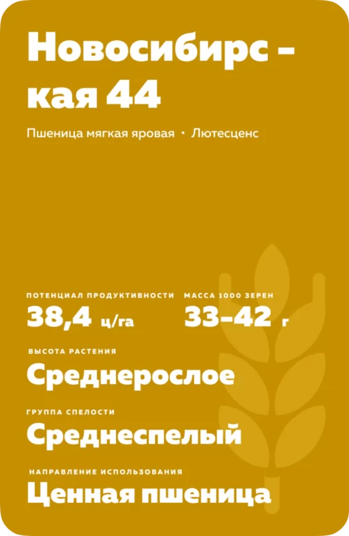 Новосибирская 44