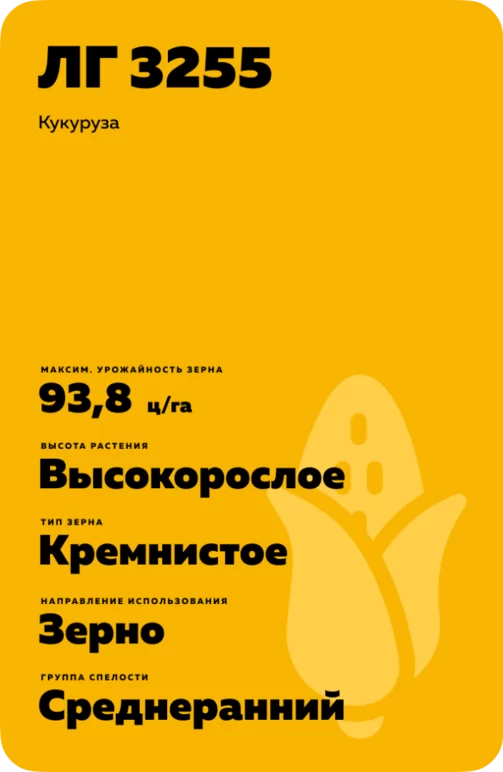 ЛГ 3255 гибрид кукурузы