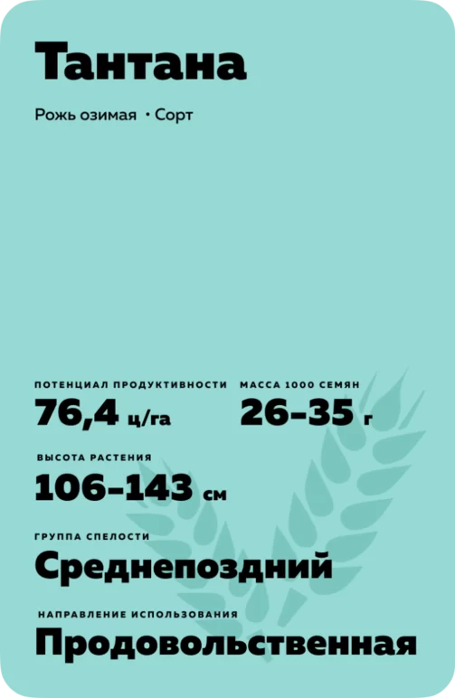 Тантана рожь озимая