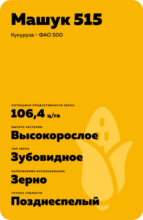 Машук 515 гибрид кукурузы
