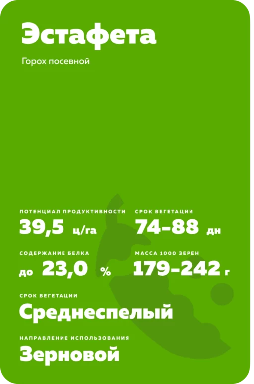 Эстафета