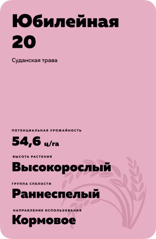 Юбилейная 20