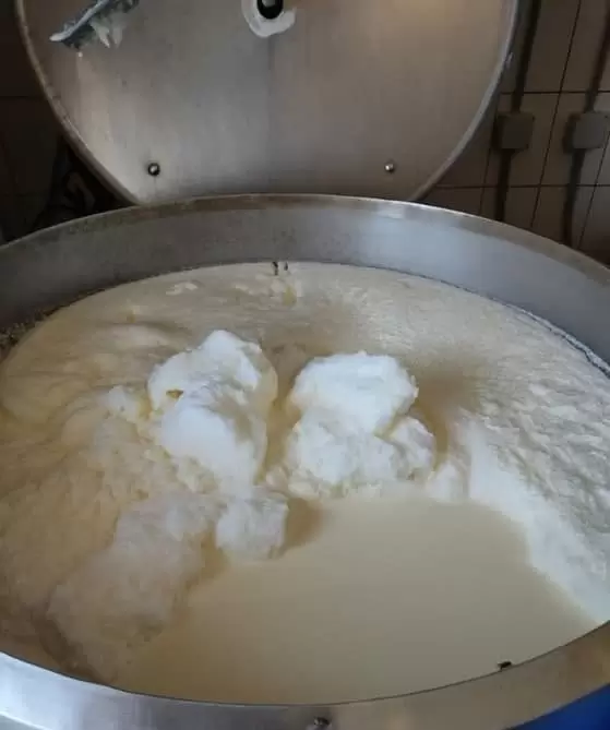 Почему «вершки» сырого молока взбиваются в плотную пену?