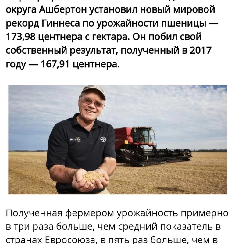 Мировой рекорд урожайности пшеницы