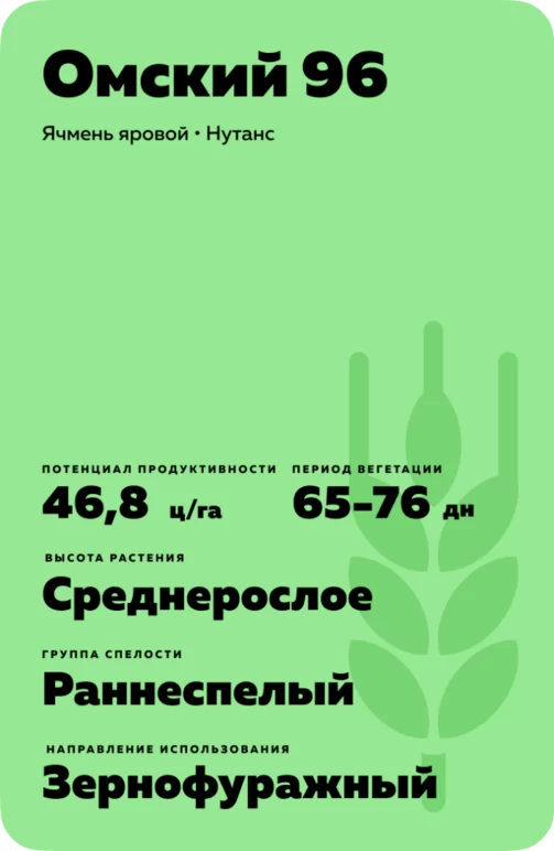 Омский 96