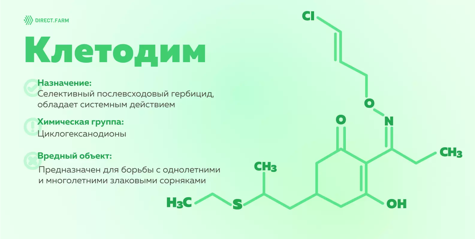 Клетодим: способ проникновения и применения, спектр действия,  совместимость, характеристики