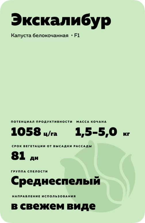 Экскалибур (EXCALIBUR) гибрид капусты белокочанной