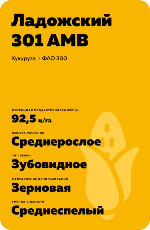 Ладожский 301 АМВ гибрид кукурузы