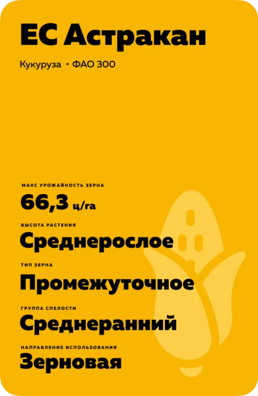ЕС Астракан
