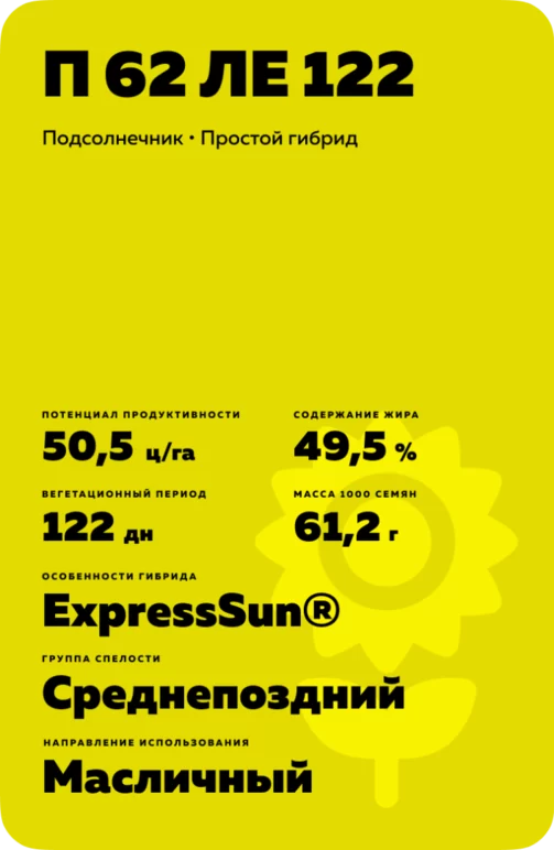 П 62 ЛЕ 122 гибрид подсолнечника Пионер