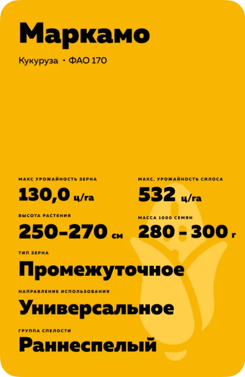 Маркамо (MARCAMO)