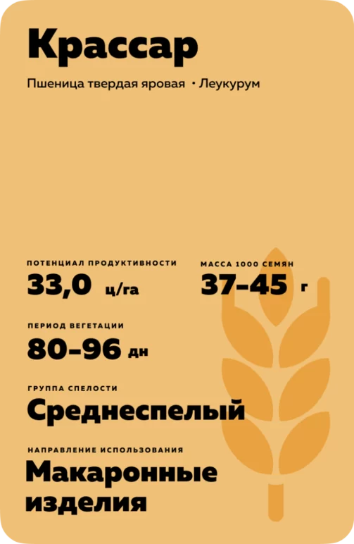 Крассар