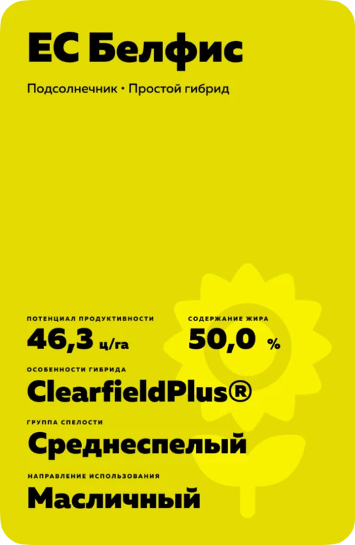 ЕС Белфис (ES BELFIS)