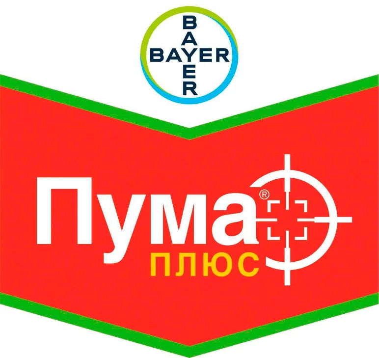 Пума Плюс, КЭ