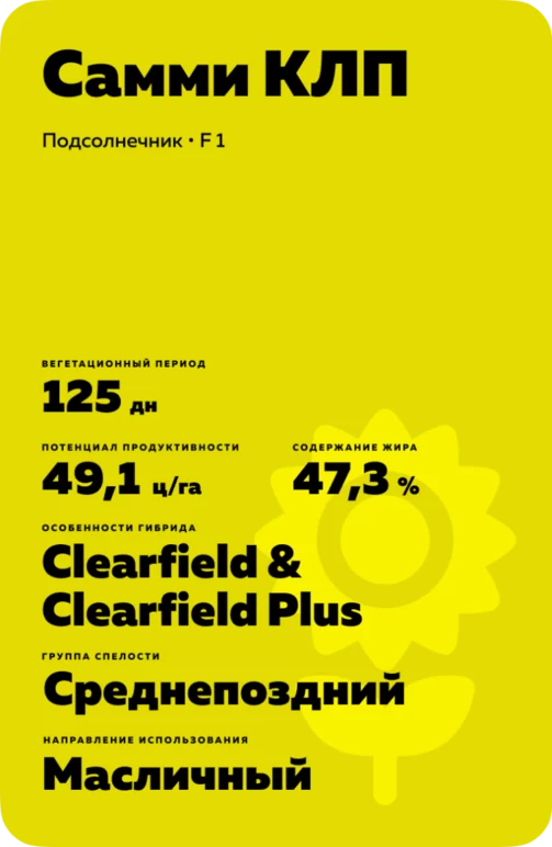 Самми КЛП