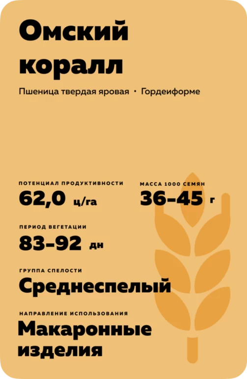 Омский коралл сорт пшеницы твердой яровой