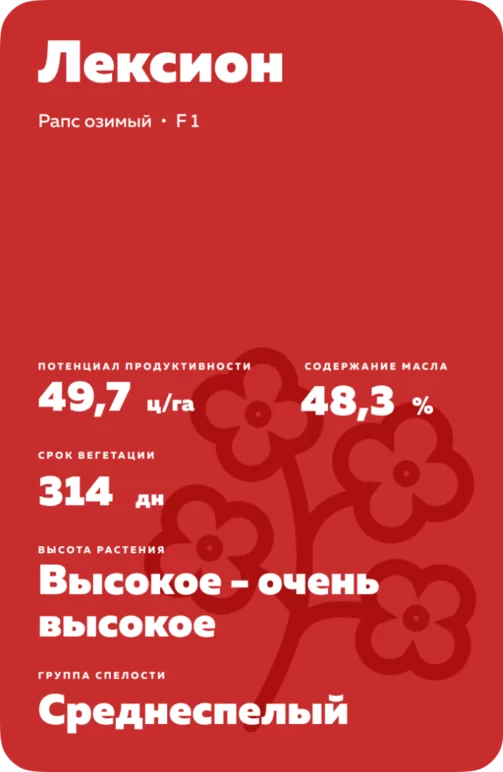 Лексион (LEXION) рапс озимый