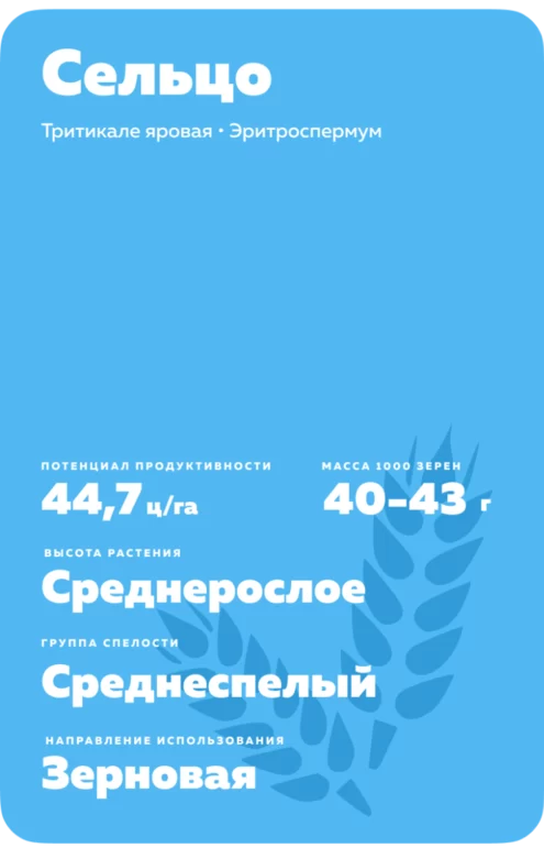 Сельцо