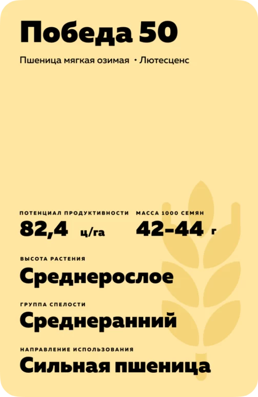 Победа 50 сорт пшеницы мягкой озимой