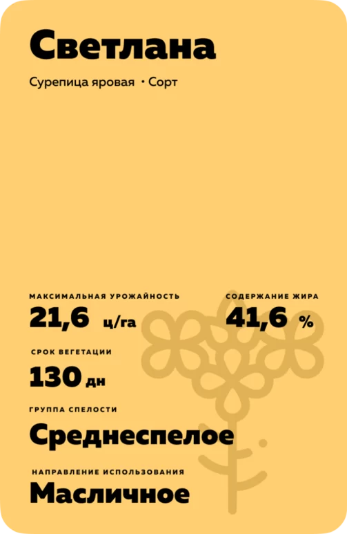 Светлана