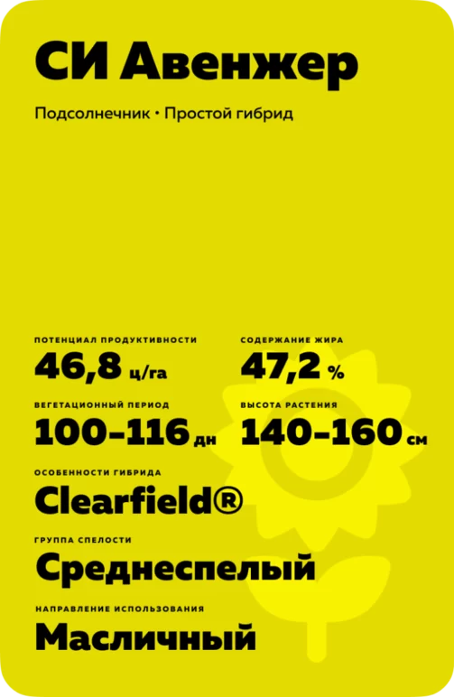 СИ Авенжер (SY AVENGER) гибрид подсолнечника
