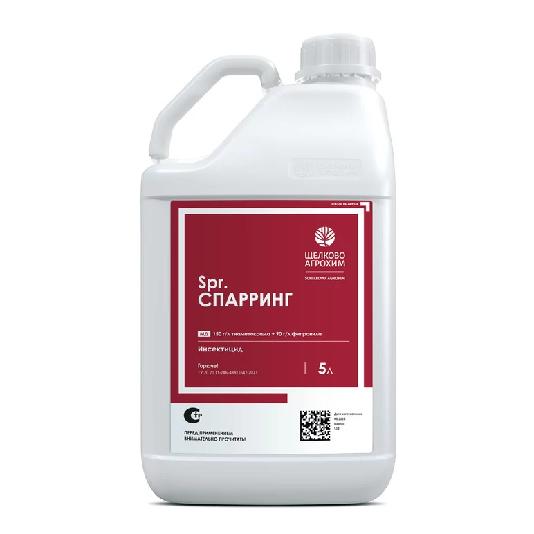 Спарринг, МД