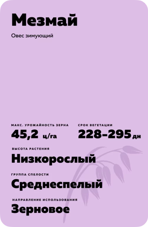 Мезмай овес зимующий