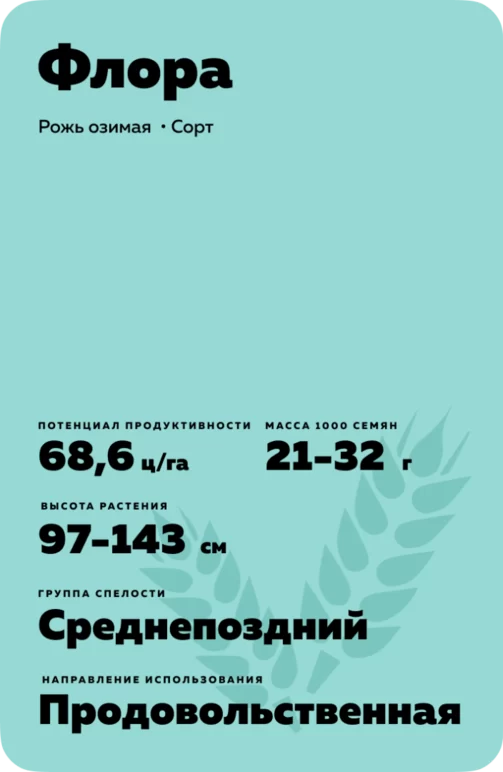 Флора рожь озимая