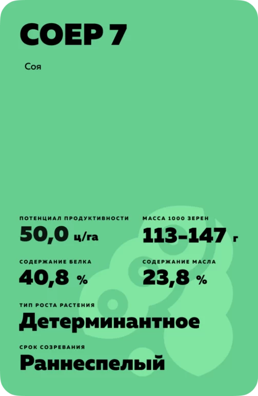 СОЕР 7