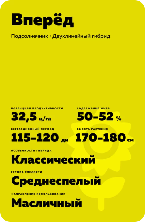 Вперёд гибрид подсолнечника
