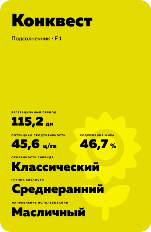Конквест (CONQUEST) подсолнечник