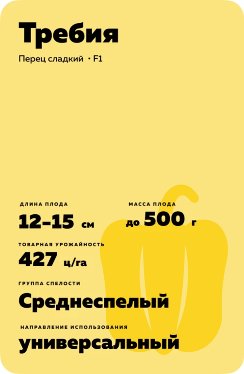 Требия F1 (TREBBIA)