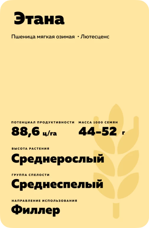 Этана