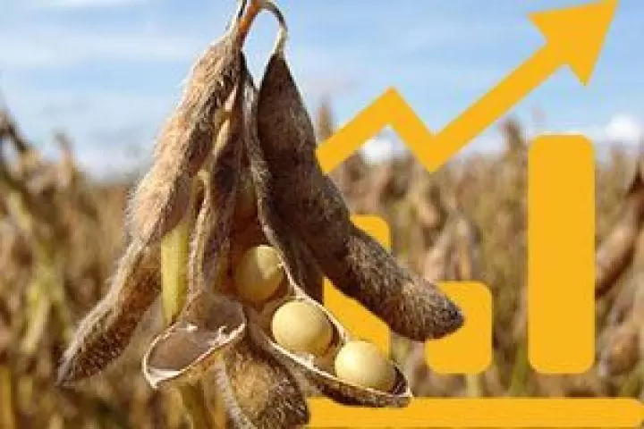 Цены на кукурузу и сою взлетели на бирже в Чикаго
