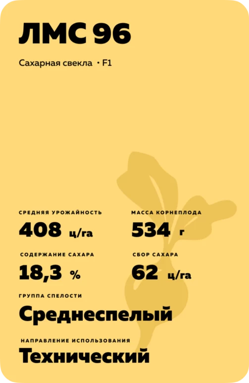 ЛМС 96 гибрид сахарной свеклы